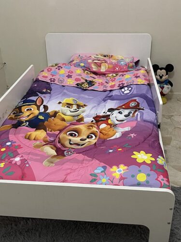 Franco Kids Bedding Super Soft Comforter and Sheet Set, 4 Piece Twin Size, Pokemon (Prints May vary) photo review